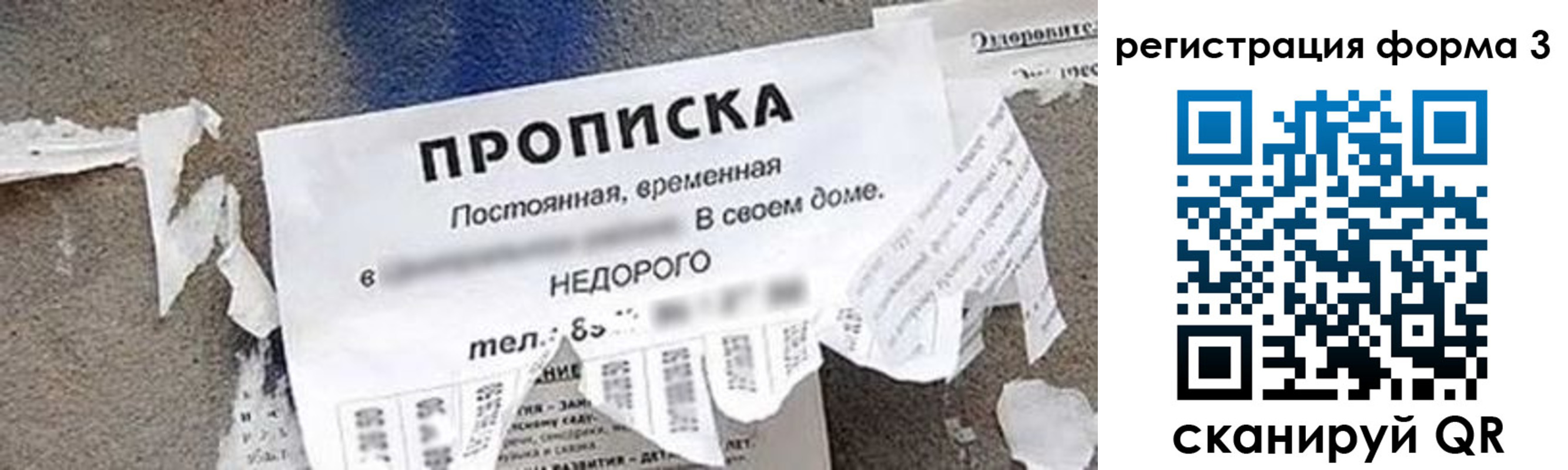 прописка 2025 в Дмитрове